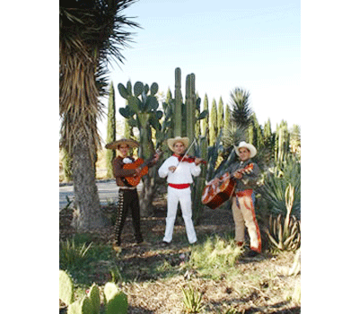 Mariachi en Barcelona