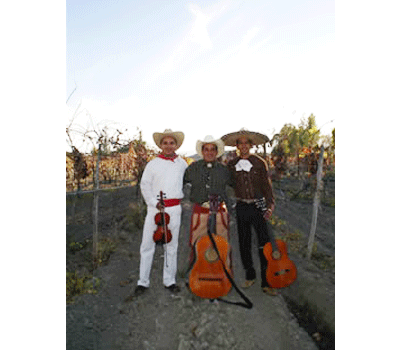 Mariachi en Barcelona