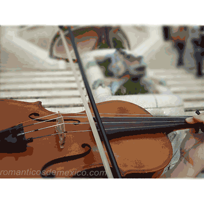 Violinitas para bodas en Barcelona